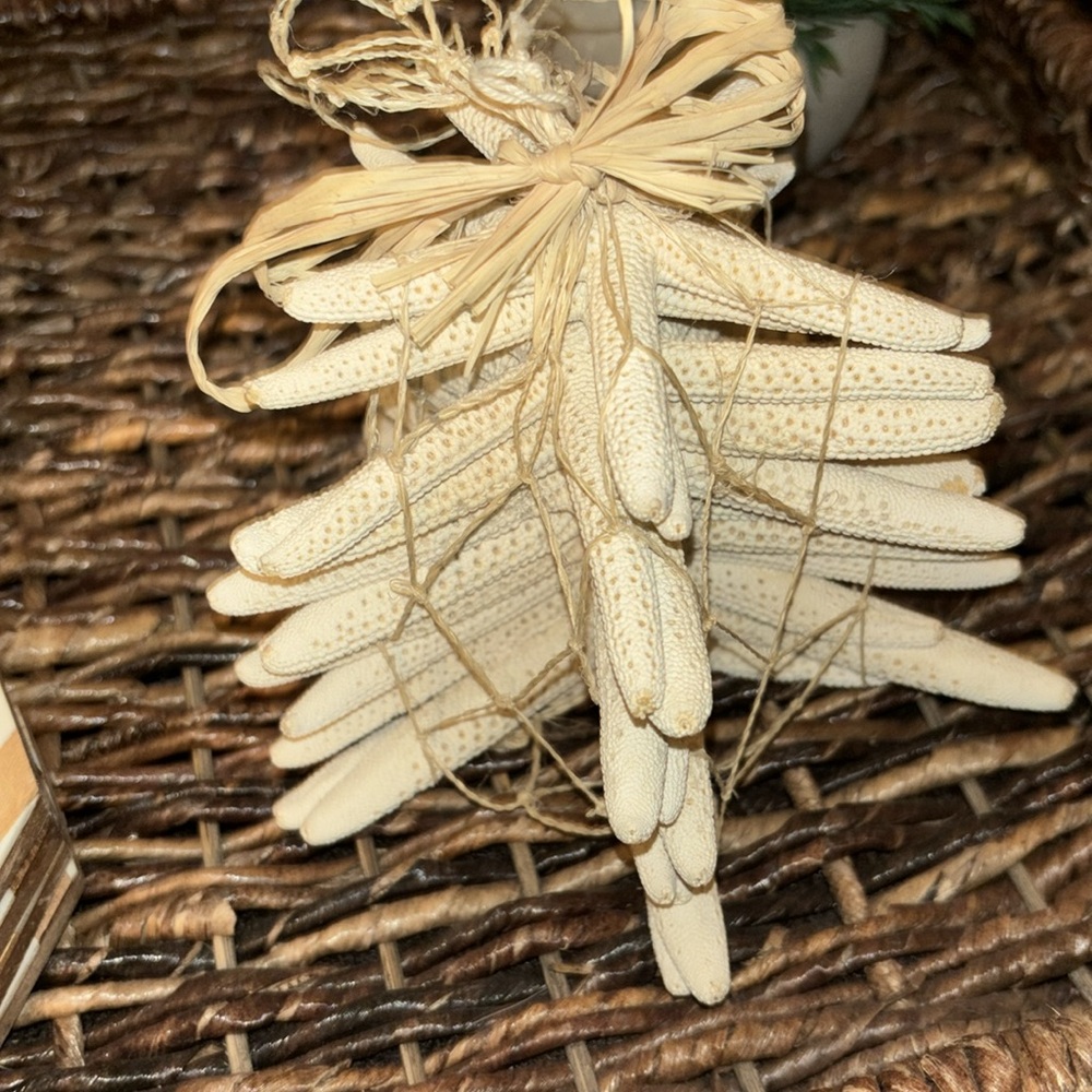 11 Real White Long Finger Starfish 4"-8” in a Bundle